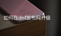 如何在dnf发布网升级跳任务