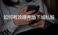 如何有效喂养地下城私服共鸣装备