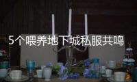 5个喂养地下城私服共鸣装备的技巧