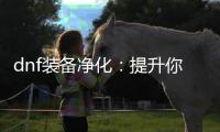 dnf装备净化：提升你的游戏体验
